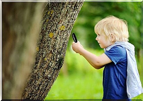 Child studies tree