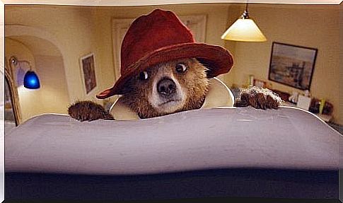 Paddington, a fun movie for the whole family