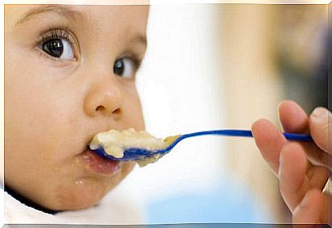 The first foods you need to give to your baby