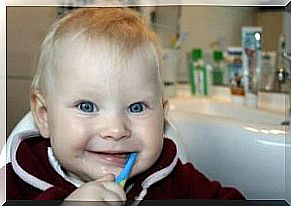 Your child does not want to brush his teeth, what to do?